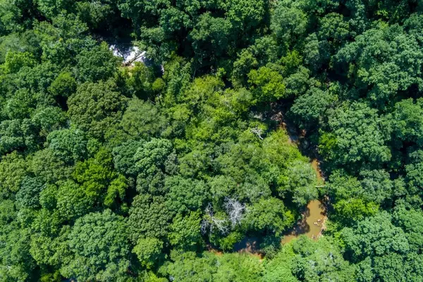 Braselton, GA 30517,6 Lamar Cooper RD