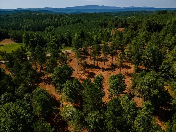 Fairmount, GA 30139,Lot 5 Young Loop