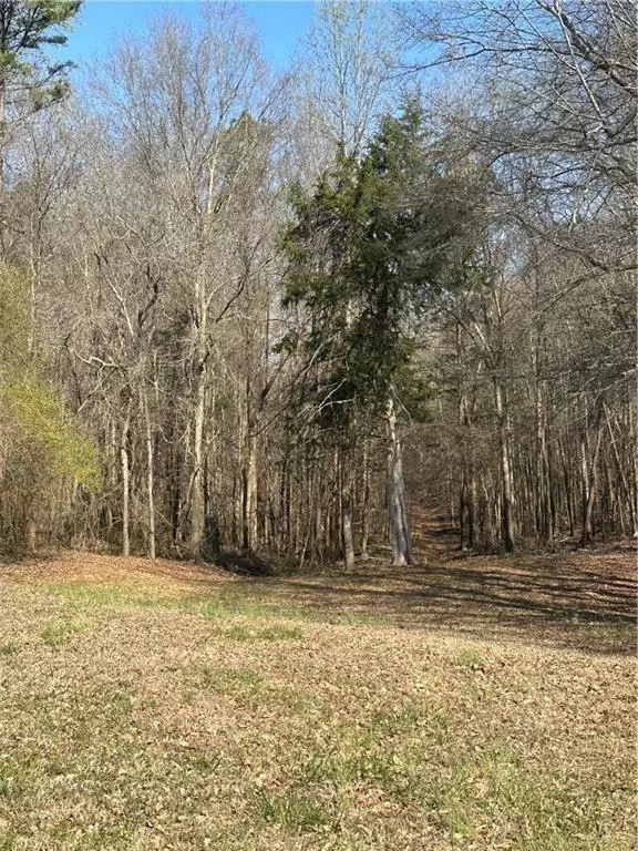 Talmo, GA 30575,LOT 4 Martin RD