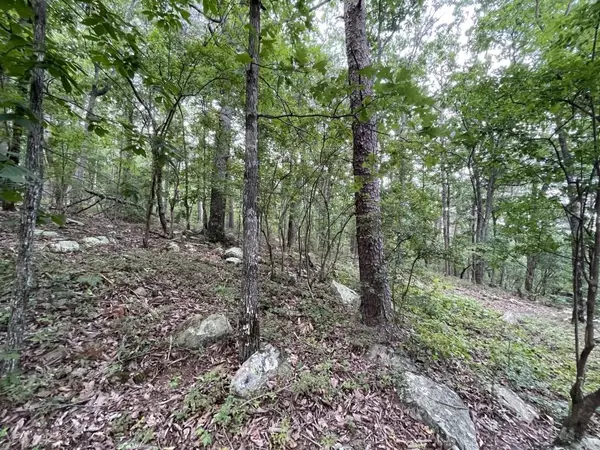 Jasper, GA 30143,0 Lot 329-330 Nector CT