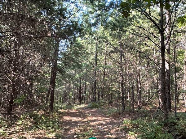 0 Fire Tower/Fire Mountain RD, Cedartown, GA 30125