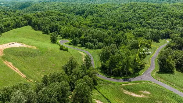 Mineral Bluff, GA 30559,Lot 9 Waterstone