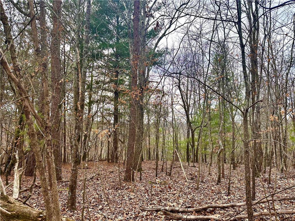 780 Nettle LN, Ranger, GA 30734