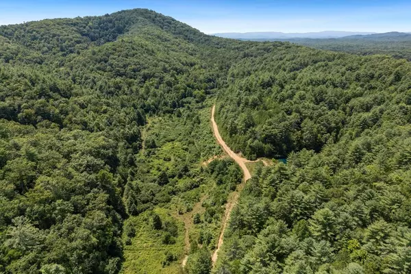 Mineral Bluff, GA 30559,80 AC Shangri La DR