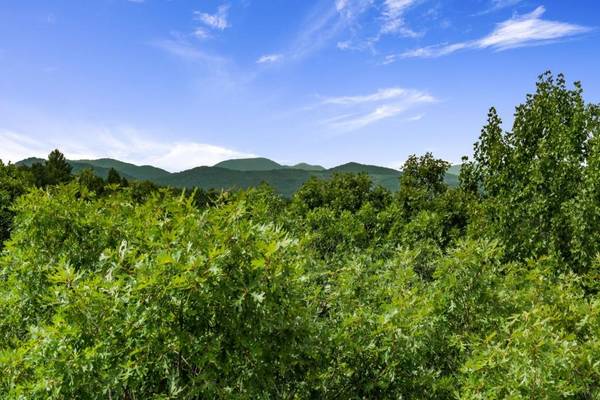 3.51AC Deer Springs RD, Morganton, GA 30560