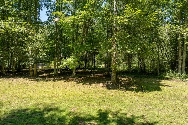 Blue Ridge, GA 30513,1 Hogback DR