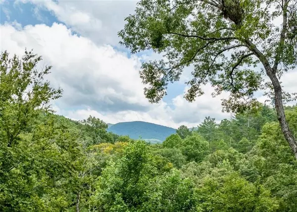 Ellijay, GA 30536,417 Riverwood RD