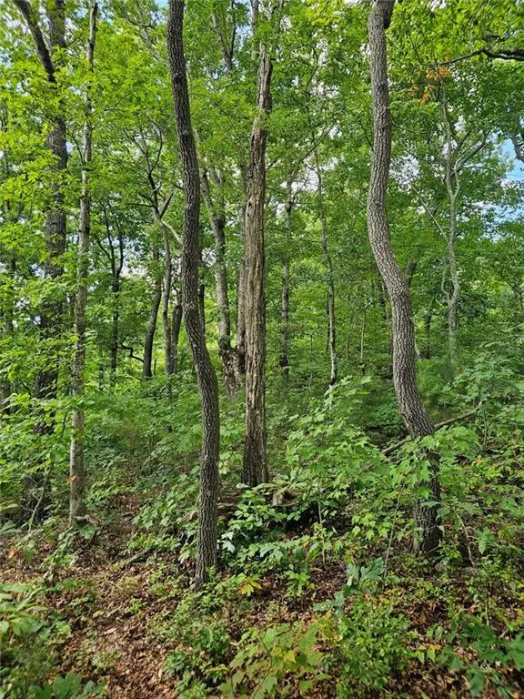 Ellijay, GA 30536,LT272 Andes Ridge
