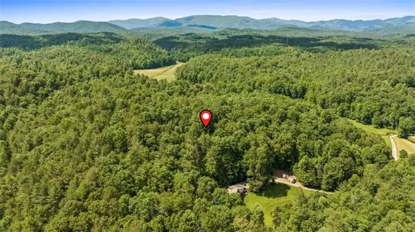 Ellijay, GA 30540,9.3AC Canaan RD