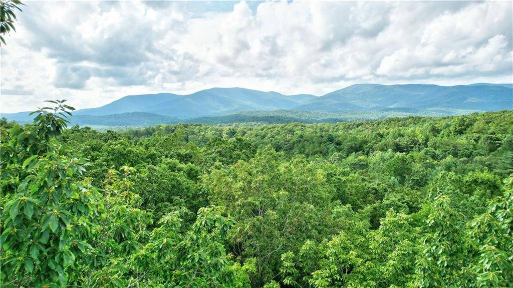 48 Mt Mcgurder - 48.26 acres RD, Ellijay, GA 30536