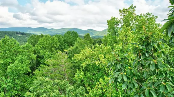 Ellijay, GA 30536,48 Mt Mcgurder - 48.26 acres RD