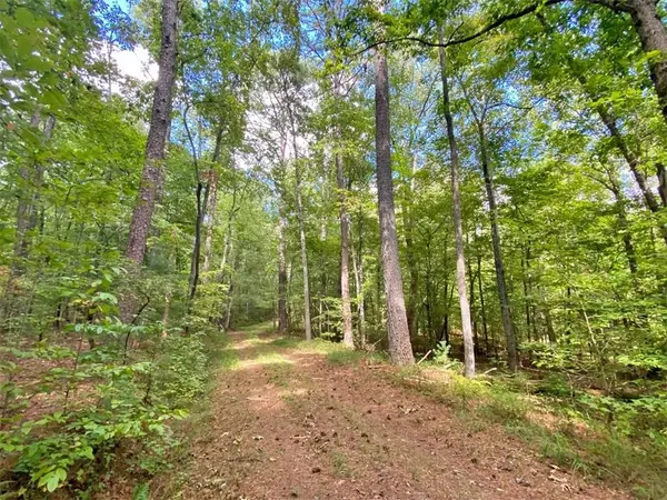 153AC White Path RD, Ellijay, GA 30540