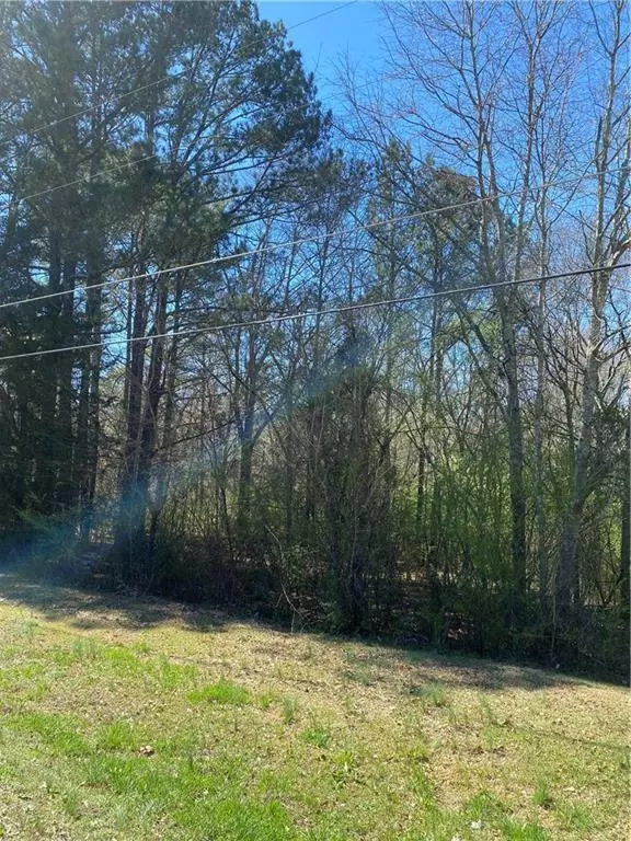 Loganville, GA 30052,#35 Claude Brewer RD