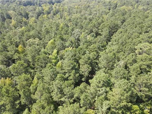 Buckhead, GA 30625,Lot 22 Apalachee Woods TRL