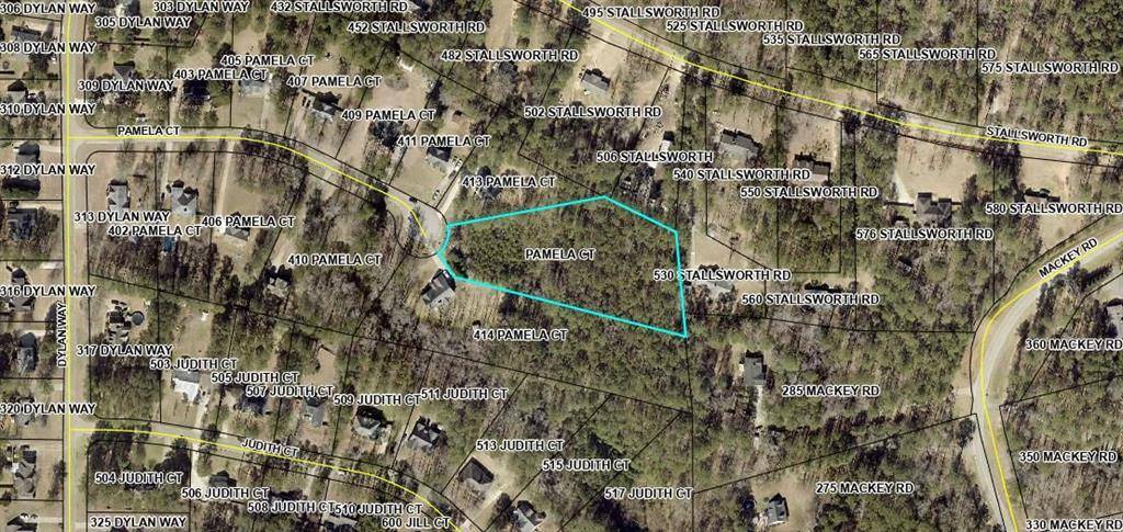Mcdonough, GA 30252,0 PAMELA CT