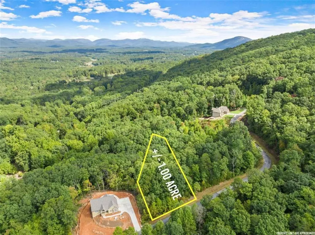 Cleveland, GA 30528,LOT 23 Long Mountain TRL