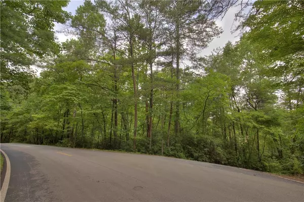 Big Canoe, GA 30143,2152 Royal Fern TRL