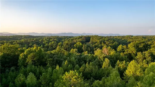 Dahlonega, GA 30533,50 Loyal DR