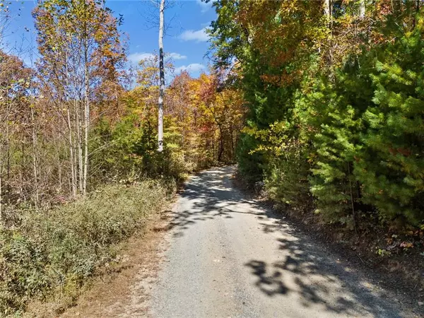 11.51 Old Burnt Mountain Rd, Ellijay, GA 30536