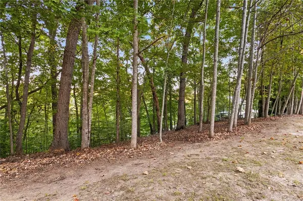 Dawsonville, GA 30534,Lot 4 Fredericks Cv