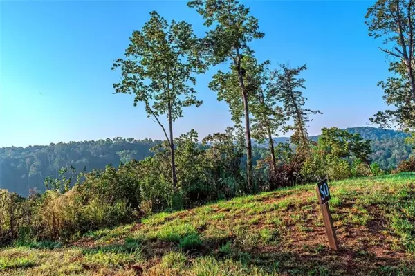 Ellijay, GA 30540,LOT 50 Jakes Landing WAY