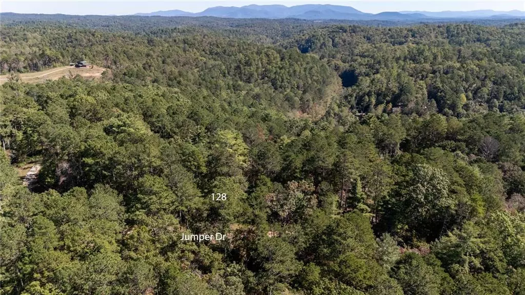 Ellijay, GA 30540,000 Jumper DR
