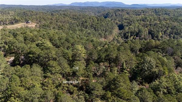 000 Jumper DR, Ellijay, GA 30540