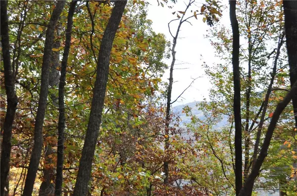 Big Canoe, GA 30143,20 Falcon CIR