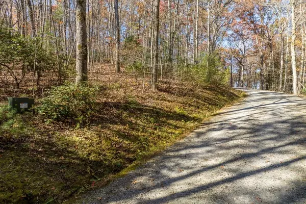 Ellijay, GA 30536,LOT 7 Joseph Anderson TRL