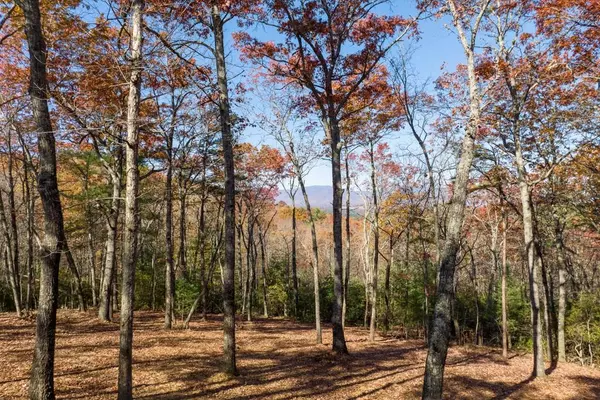 Ellijay, GA 30536,LOT 40 Preserve TRL