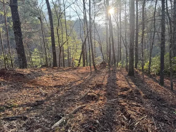 Ranger, GA 30734,1767 Longbranch DR