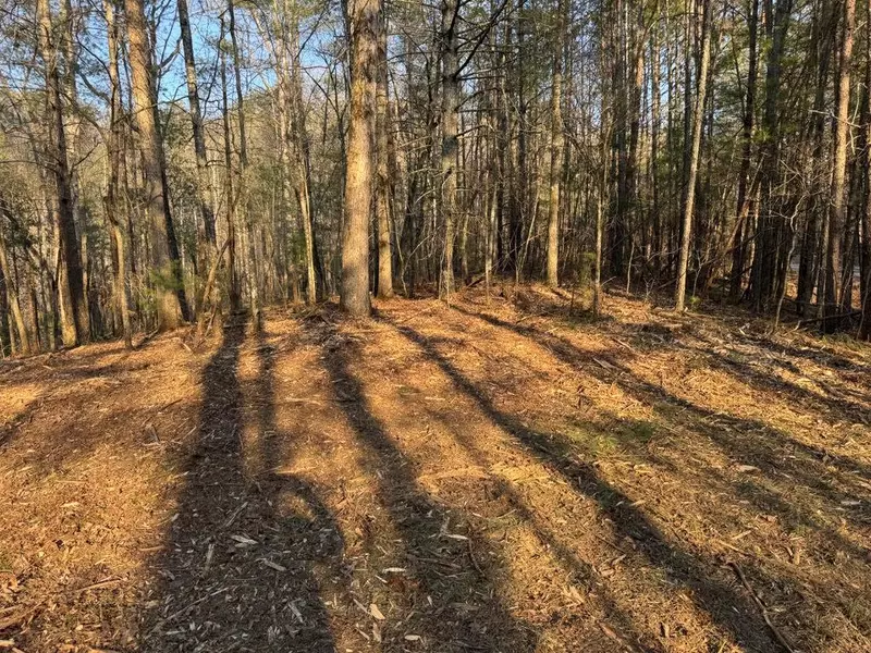 1767 Longbranch DR, Ranger, GA 30734