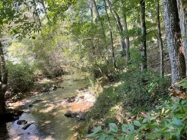 Ellijay, GA 30536,LOT 5 Clear Creek Preserve WAY