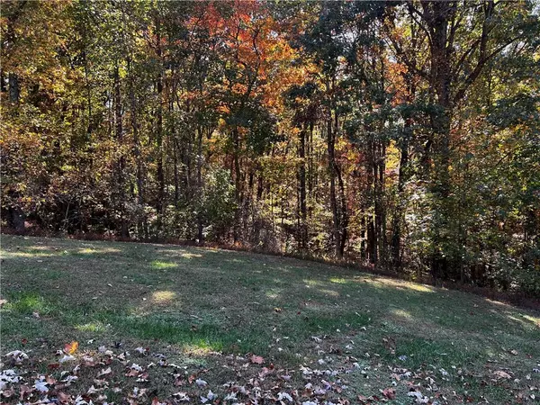 Dahlonega, GA 30533,62 Miners PL