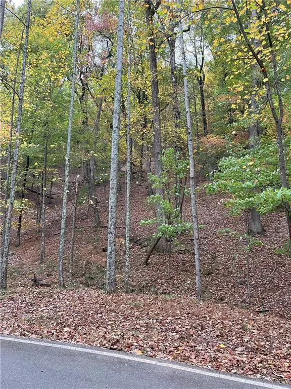Big Canoe, GA 30143,1111 Quail Cove