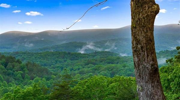 Blue Ridge, GA 30513,566 Cohutta Mountain RD