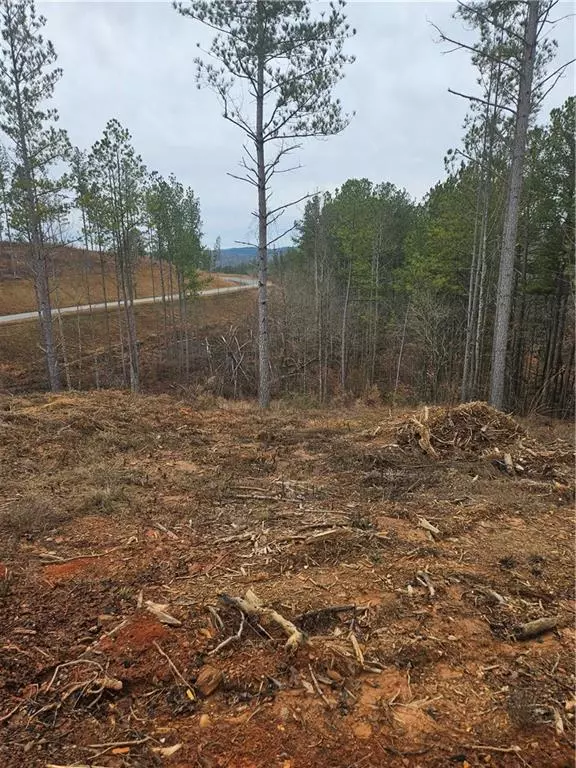 Talking Rock, GA 30175,0 Blalock Mountain RD
