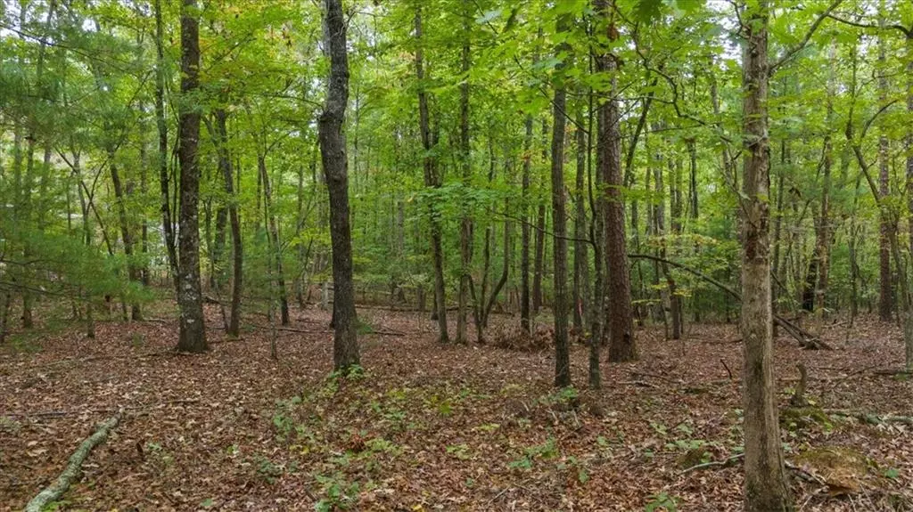 0 Rider RD, Dawsonville, GA 30534