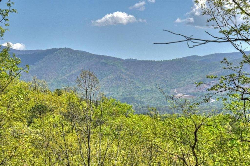 Ellijay, GA 30540,812 Flagpole RD