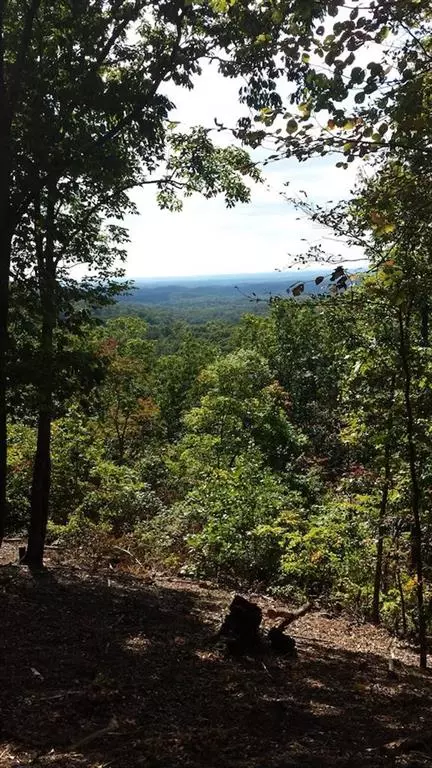 Ranger, GA 30734,113 Adair DR