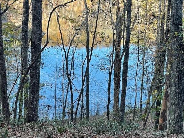 LOT242 S Laceola RD, Cleveland, GA 30528