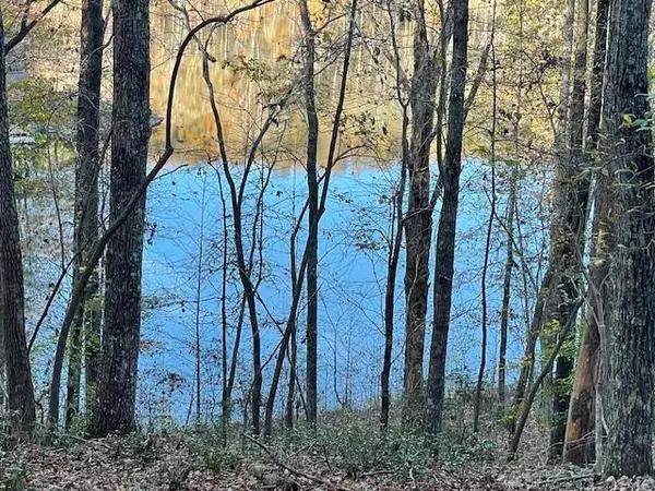LOT242 S Laceola RD, Cleveland, GA 30528