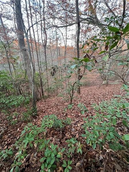 0 Moss cove RD, Blairsville, GA 30512