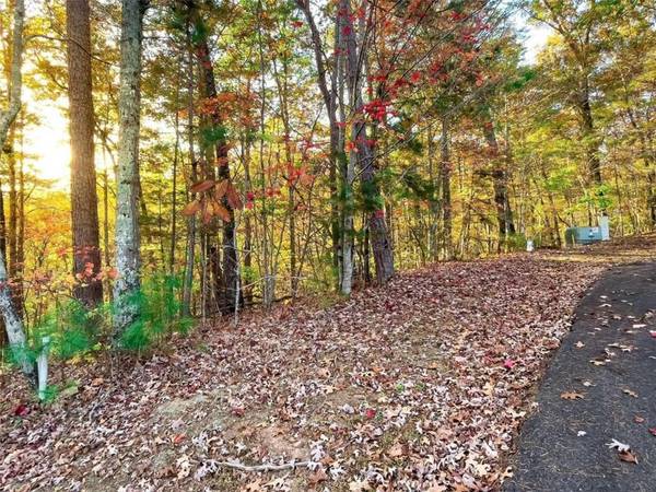 LOT 23 Fox Trail CT, Talking Rock, GA 30175