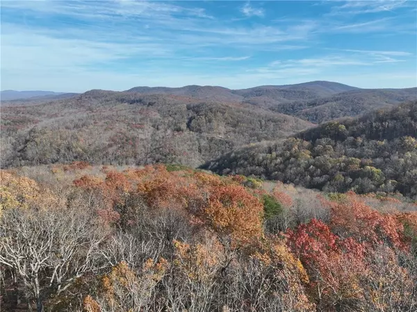 Ellijay, GA 30536,274 Andes RDG