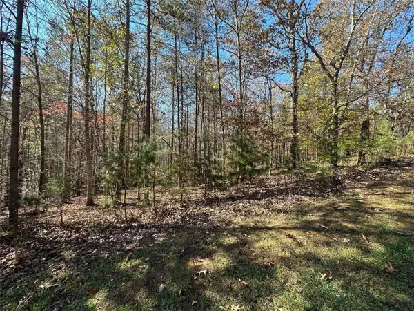 Cleveland, GA 30528,0 Lands End Trail