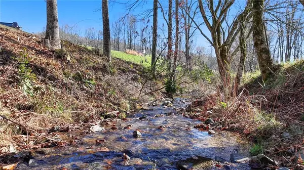 Morganton, GA 30560,LOT 22 Lower Ridge TRL