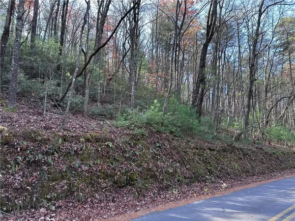 Ellijay, GA 30536,Tract6 Turniptown RD