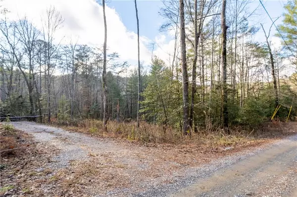 Ellijay, GA 30540,0 Meadowbrook LN