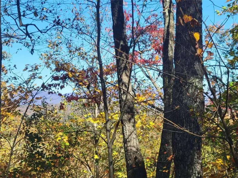 14 AC Old Burnt MTN, Ellijay, GA 30540